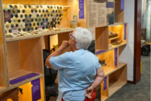 A lady exploring an exhibition